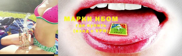 гашик Гусев