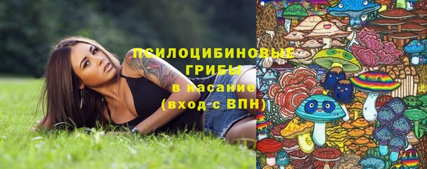 mdma Гусиноозёрск