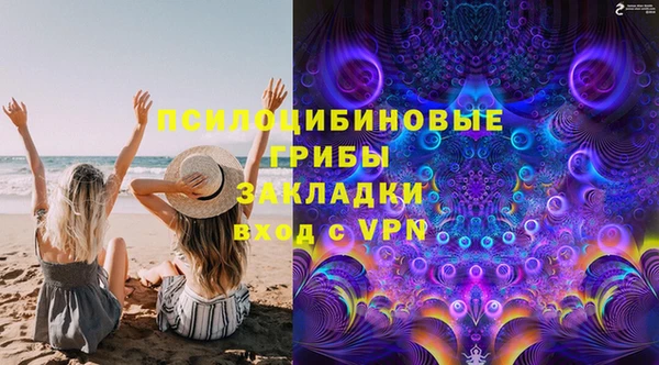 гашик Гусев