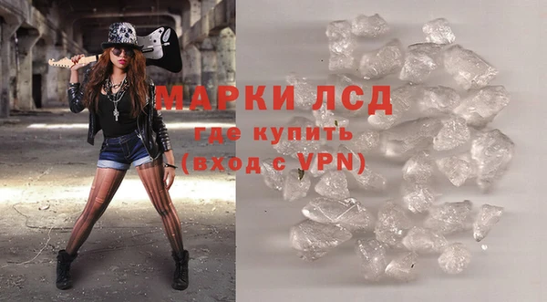 гашик Гусев